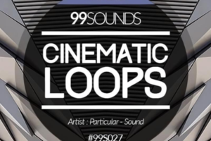 Cinematic Loops