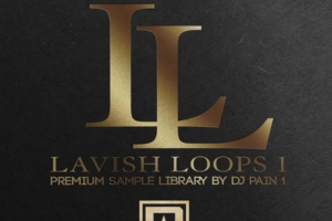 Lavish Loops 1