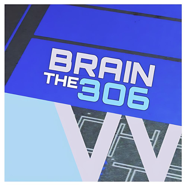 Brain The 306 cover artwork