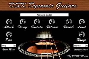 Dynamic Guitars