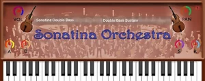 Sonatina Double Bass