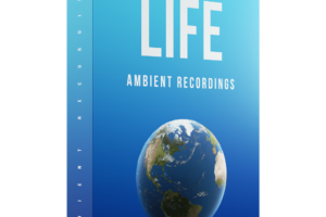 LIFE – Ambient Recordings Part 1