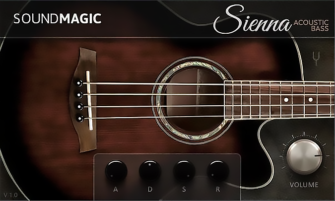 Sienna Acoustic Bass plugin screenshot