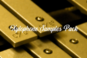 Xylophone Samples Pack