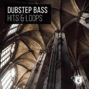 Dubstep Bass Loops & Hits