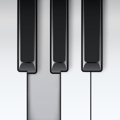 White background with important black piano keys.