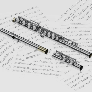 A flute made of silver elegantly rests on a sheet music stand.