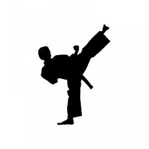 A silhouette of a person performing a karate kick.