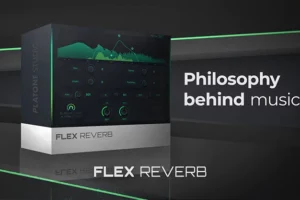 Flex Reverb