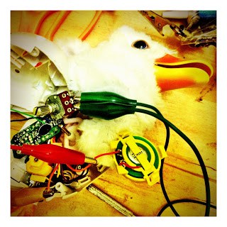 A circuit bent bird with wires and electronics on a table.