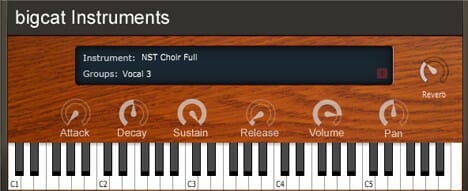 A picture of a piano keyboard with the words bigal instruments and NST Vocal.