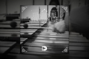 Vibraphone Renaissance