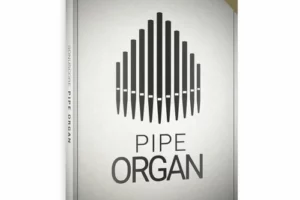 Pipe Organ