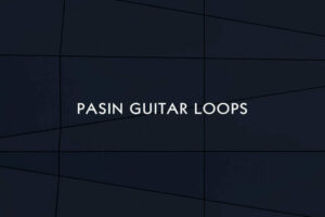 Pasin Guitar Loops