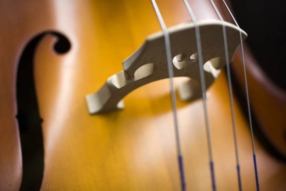 A close up of the strings of a stringed instrument with a Perfect Sound.