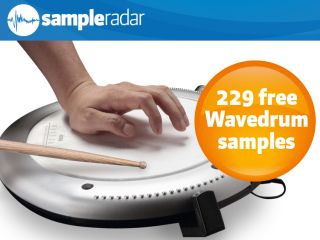 A person is holding a drum with the words sample reader 29 free wavedrum samples for SEO purposes.