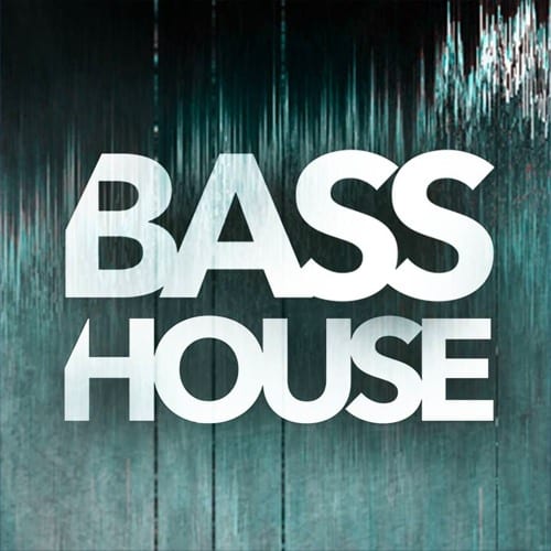 The logo for bass house on a wooden background, incorporating Big Roar as an SEO keyword.