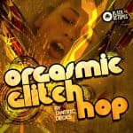 The orgasmic cover of glitch hop.