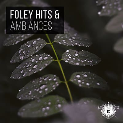 Foley hits & harmonies creating immersive ambiances.