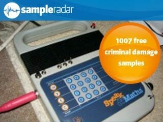1007 Criminal Damage Samples
