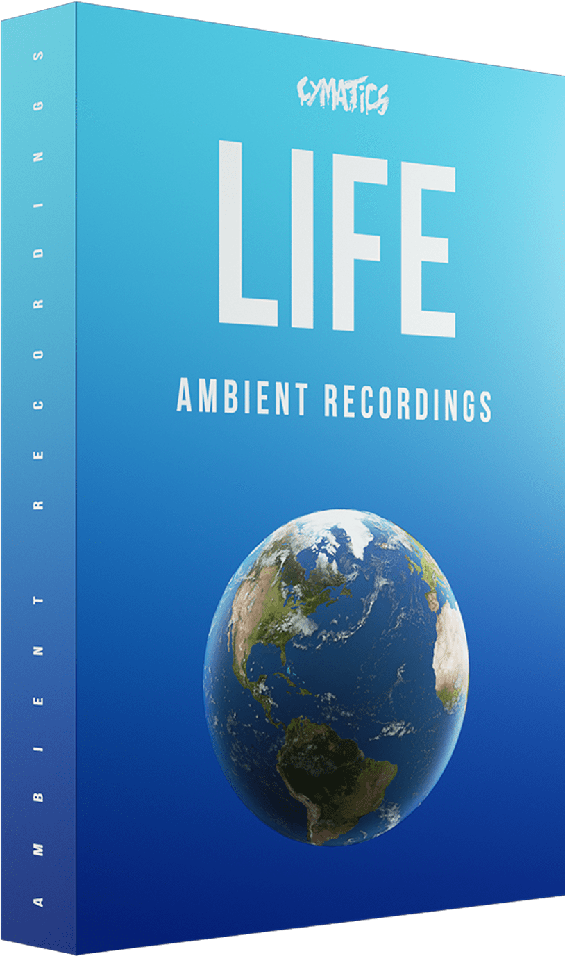 LIFE - Ambient Recordings Part 2
