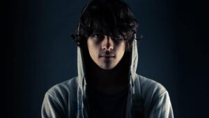 Virtual Riot FLP