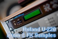 Roland U-20 drum & fx samples.