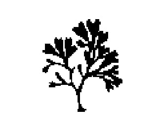 A black and white image of a plant on a white background.