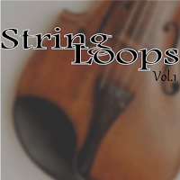 String loops vol 1 is a collection of programming exercises focusing on the implementation of various loop structures to manipulate string data.