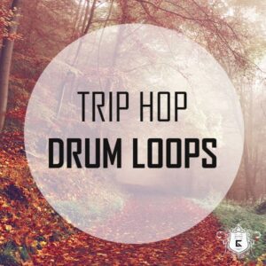 Trip Hop Drum Loops