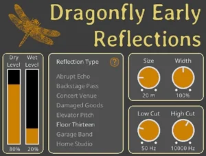 Dragonfly Early Reflections