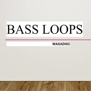 Bass Loops 