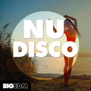 Nu Disco Sample Pack