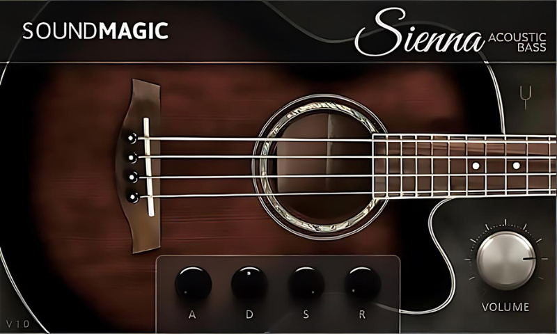 Sienna Acoustic Bass interface artwork